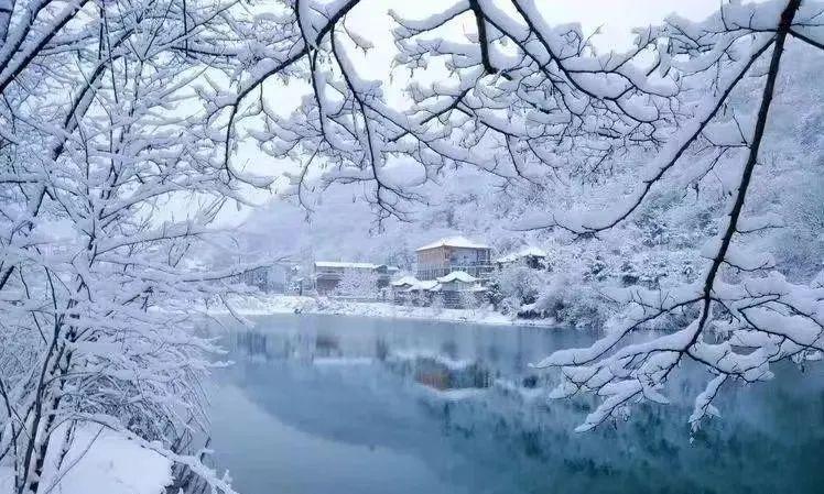 雪色之后,陇南官鹅沟是第二种绝色 - 知乎