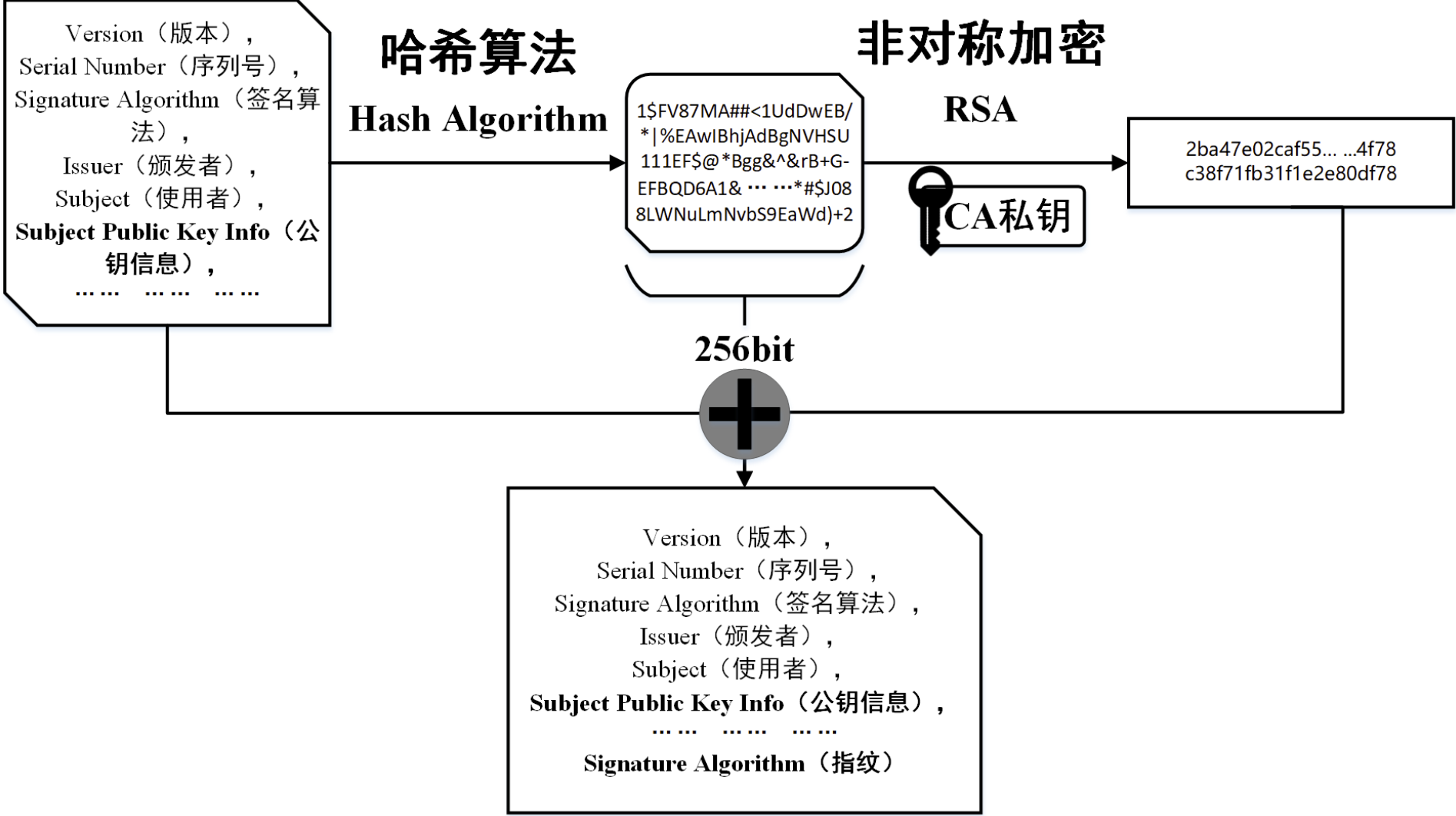 通过 GoLang 全面了解 HTTPS_转自知乎-腾讯技术 通过 GoLang 全面了解 HTTPS_转自知乎-腾讯技术