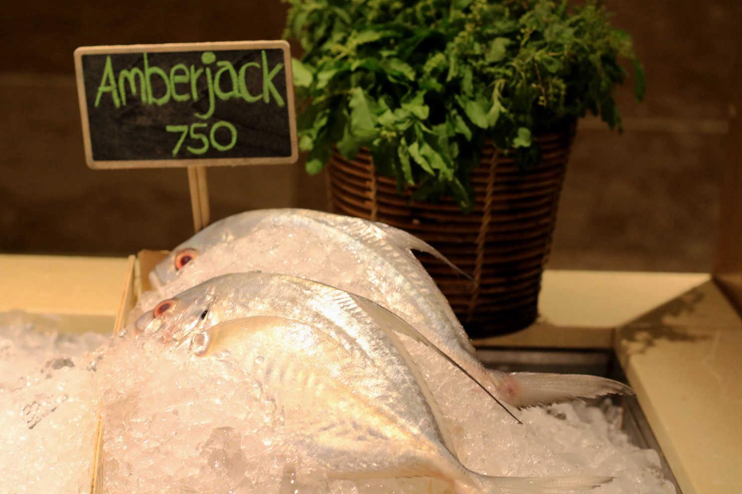 服务员用手机搜索了snake fruit的照片 然后带我去冷柜看做汤的鱼