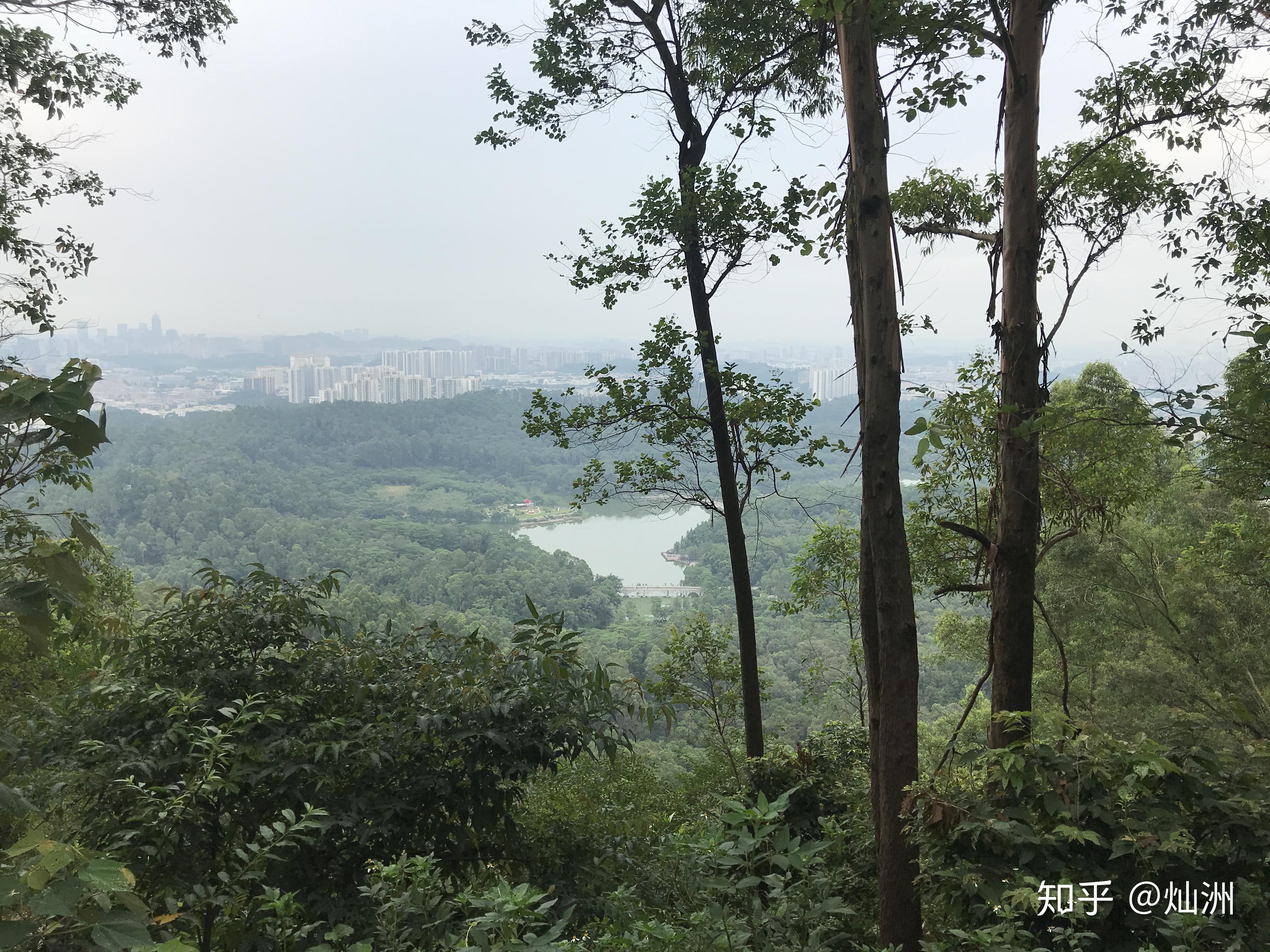 2021大夫山森林公园-旅游攻略-门票-地址-问答-游记点评，广州旅游旅游景点推荐-去哪儿攻略