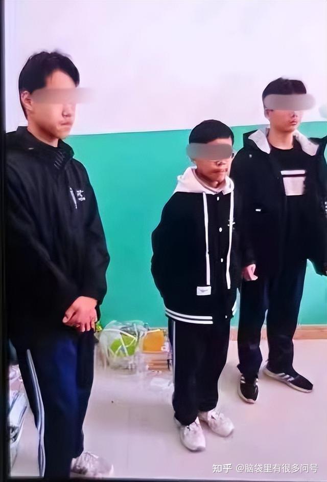 邯郸3名初中生合谋杀害同学将脸铲烂后埋尸村委会及家属发声