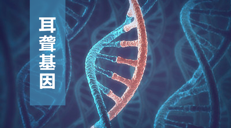 国人最常见的三大耳聋基因大解析