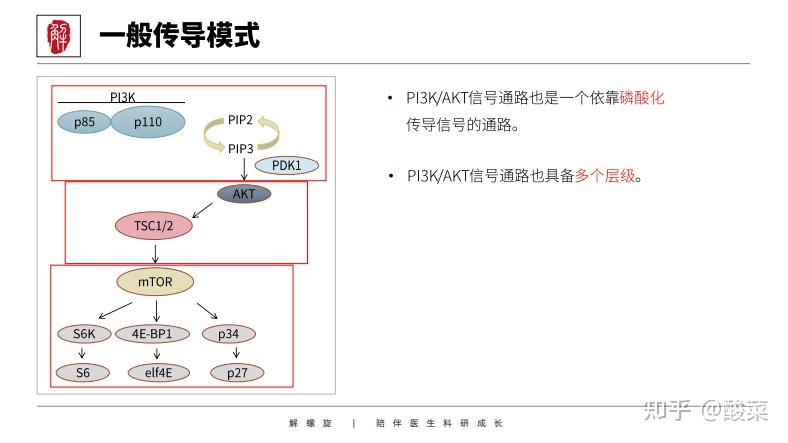 1条就是1篇SCI！带你研究12条信号通路，NF-κB、MAPK、AKT、PI3K…… - 知乎