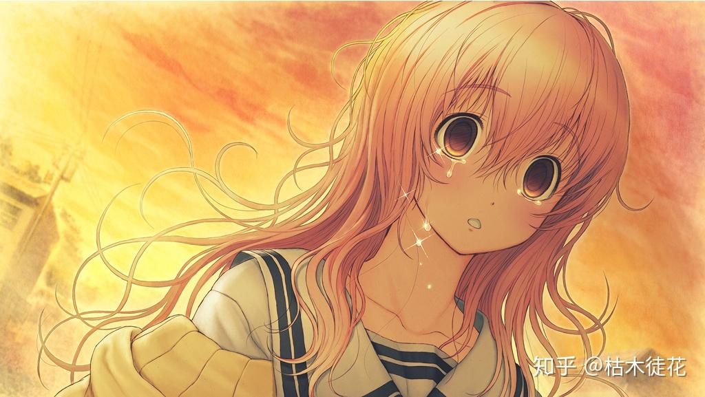 97葵绽于夏而不知冬——《君与彼女与彼女之恋》中从葵所看见的