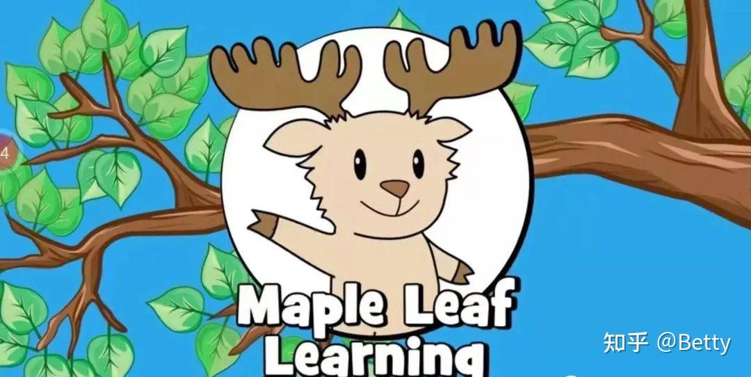 Maple Leaf Learning 495 maple-leaf-learning-495