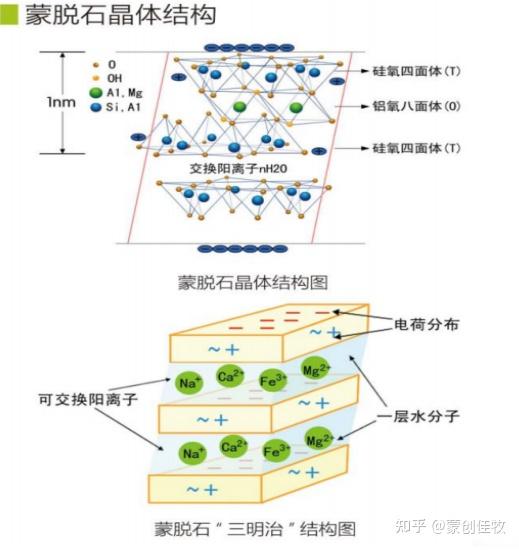 蒙脱石的故事一