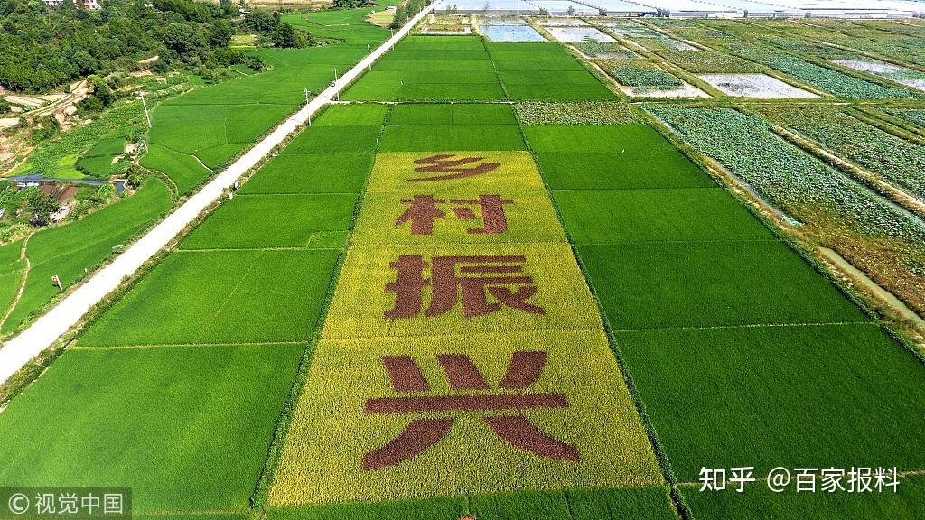 产业兴旺新思维才是乡村振兴内核向严龙策略论