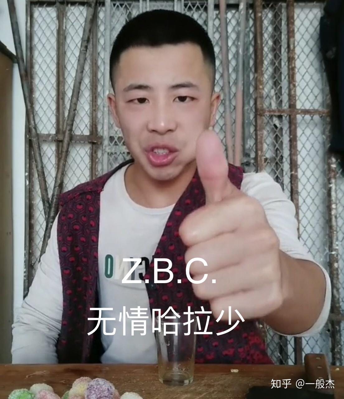 抖音网红新二表情包小鸟伏特加