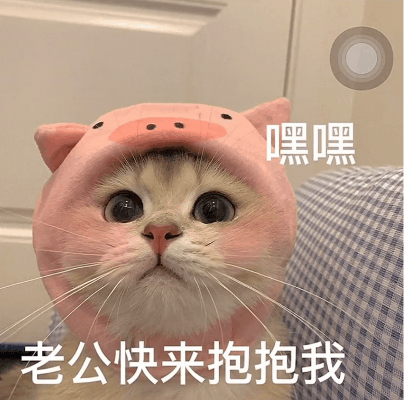 表情包 | 好烦人呀 - 知乎