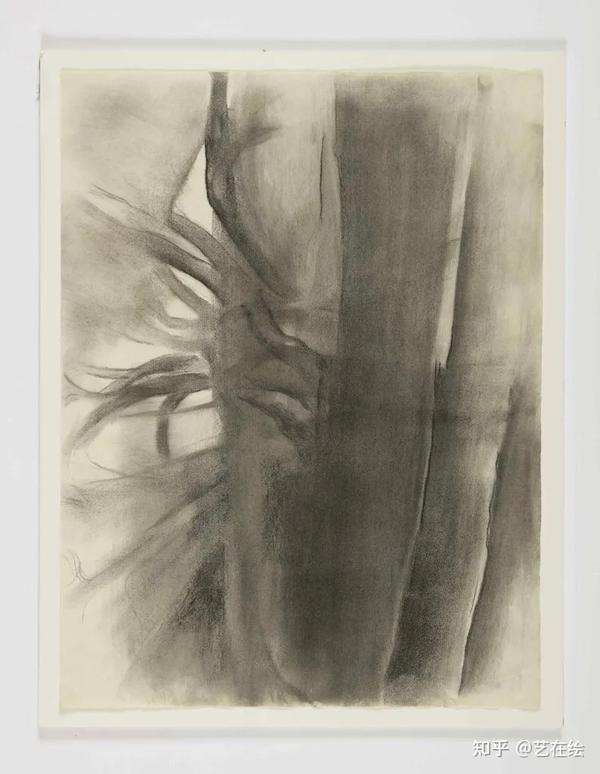 手绘工具篇 碳笔：艺术家都爱用的素描神器 知乎