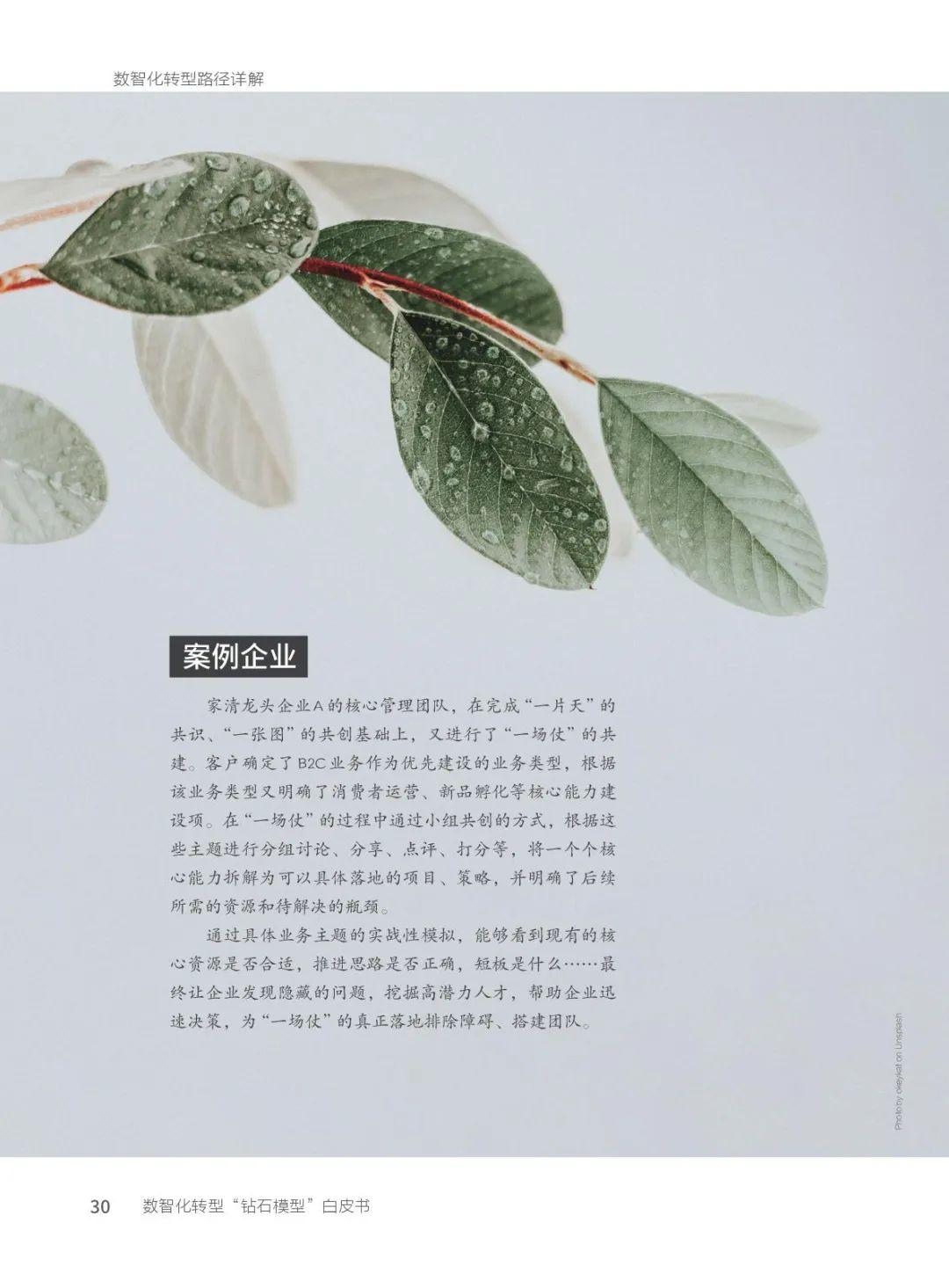 数智化转型:"钻石模型"白皮书