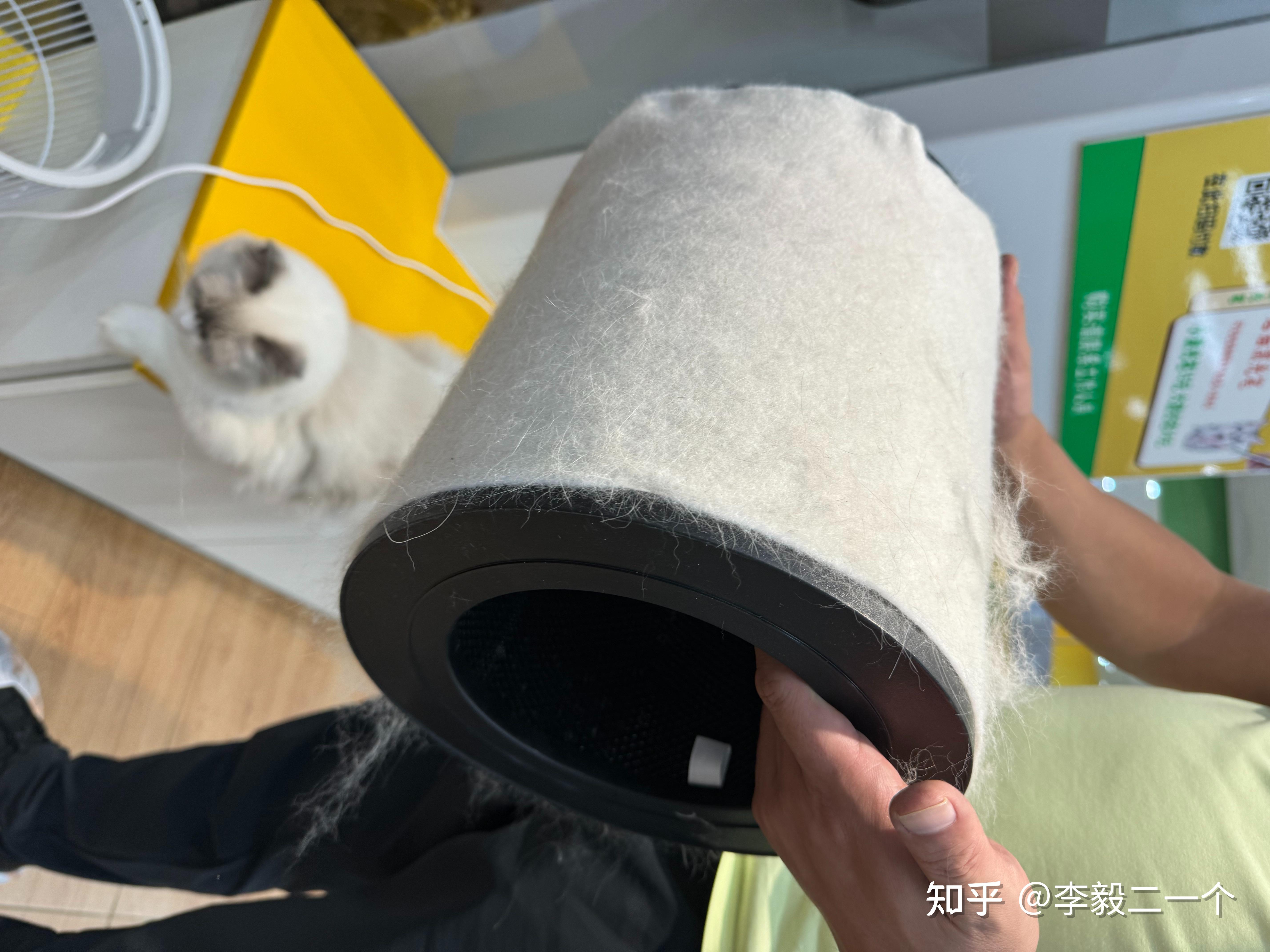 洁癖人养猫必备霍尼韦尔猫用空气净化器吸猫毛新品专业神器