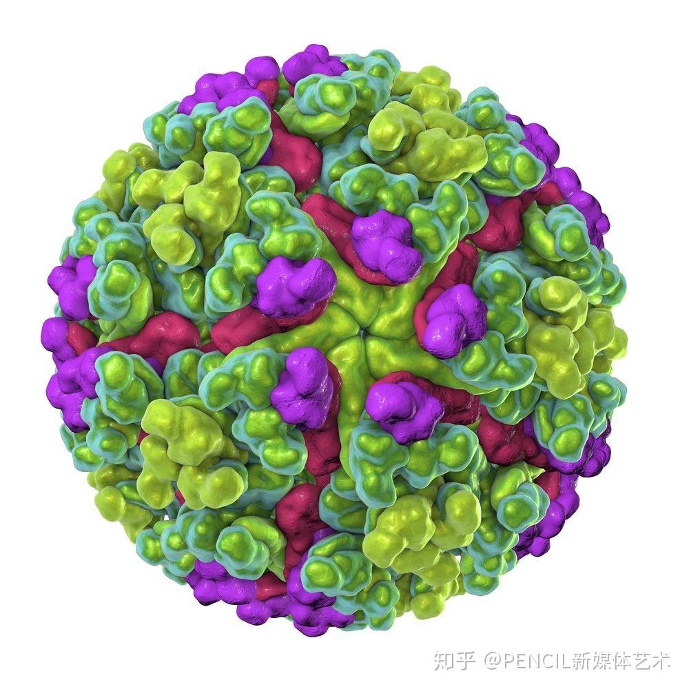 病毒物语与科学艺术