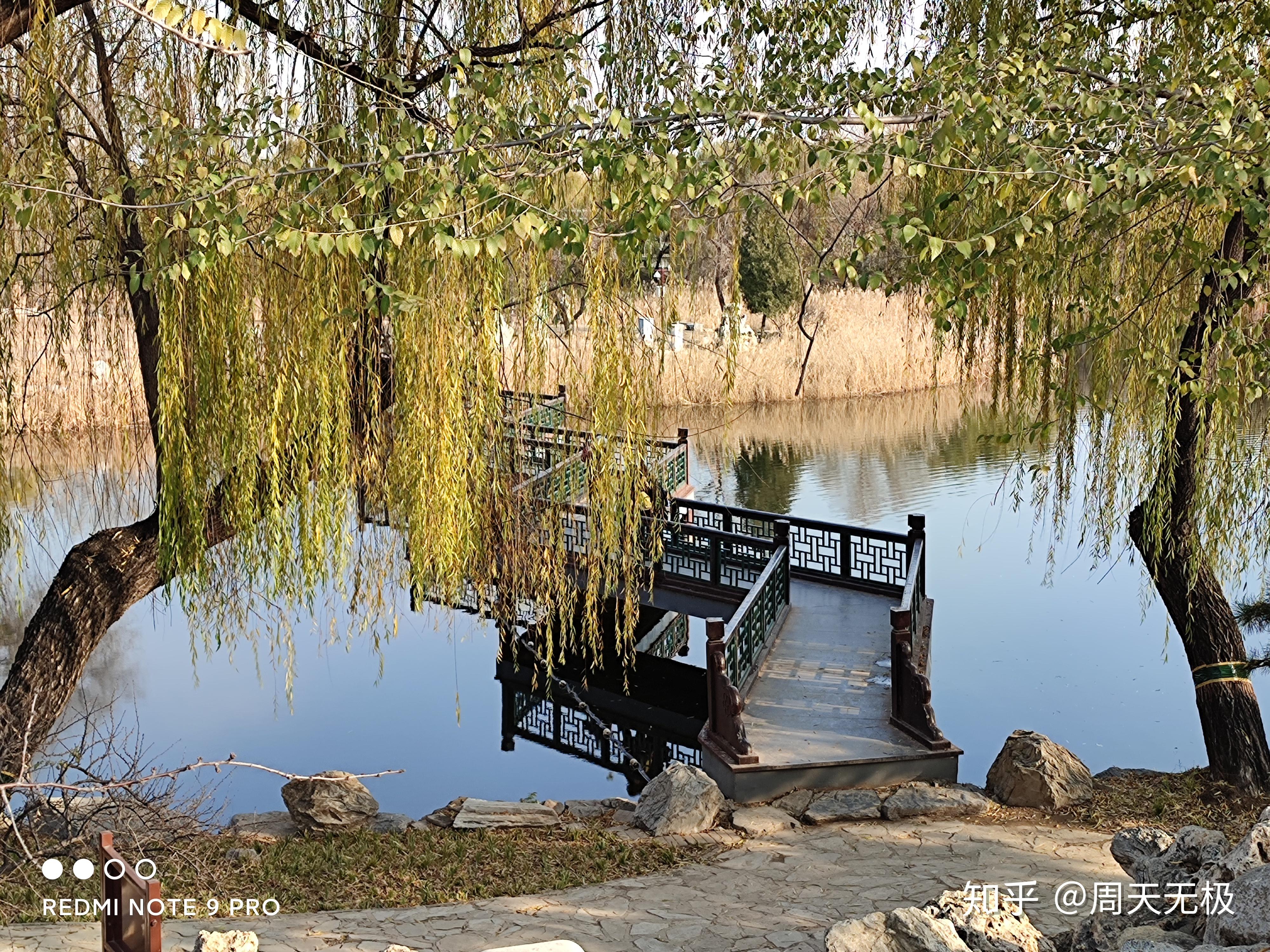 千元机的拍照已然今非昔比——redmi note9pro拍照部分简评