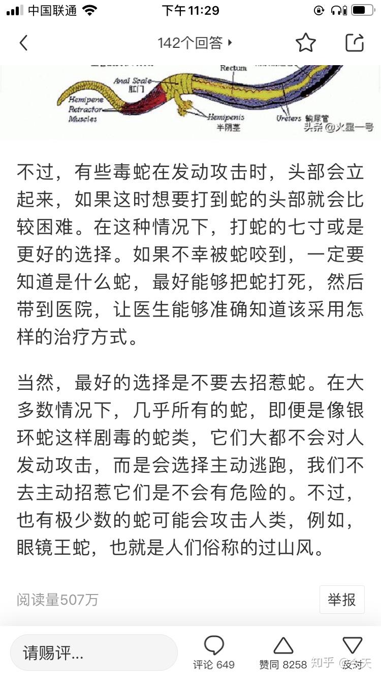 打蛇打七寸对吗