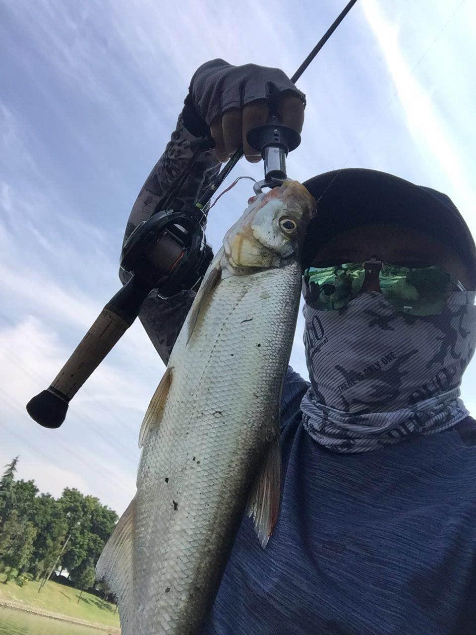 冬季淡水路亚的注意事项有哪些做好这五点冬天也爆护