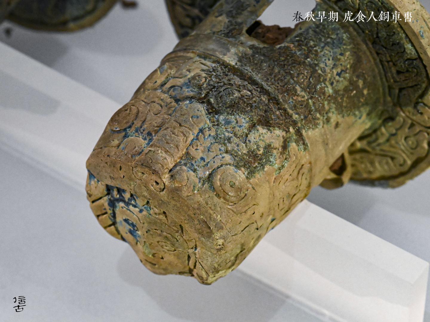 虎食人与人擒虎——夏商周时期的人虎关系- 知乎