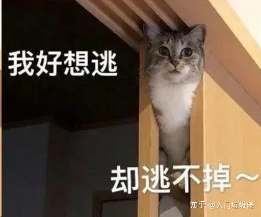 intel解决缩肛问题,AMD解决鼓包问题