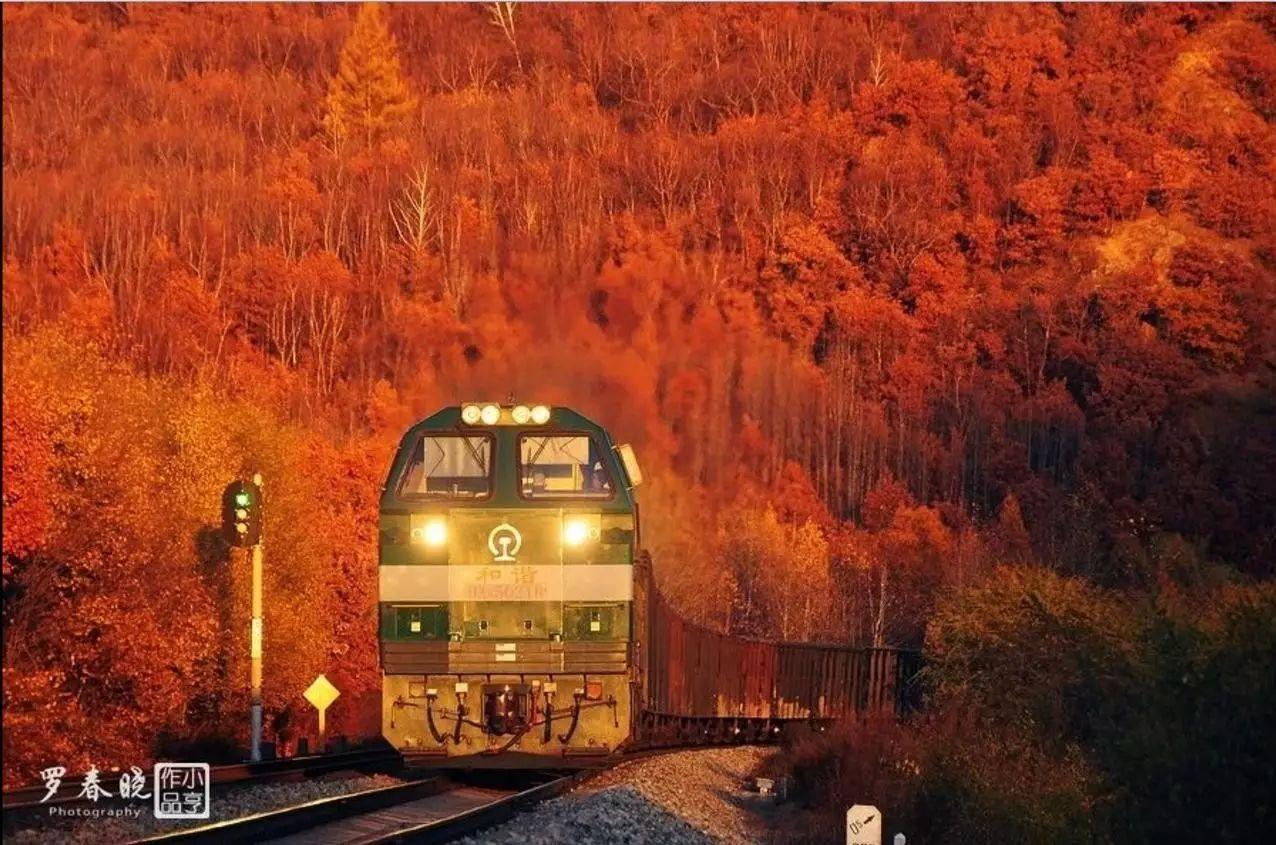 我见过最美的景色,是这趟开往秋天的列车 