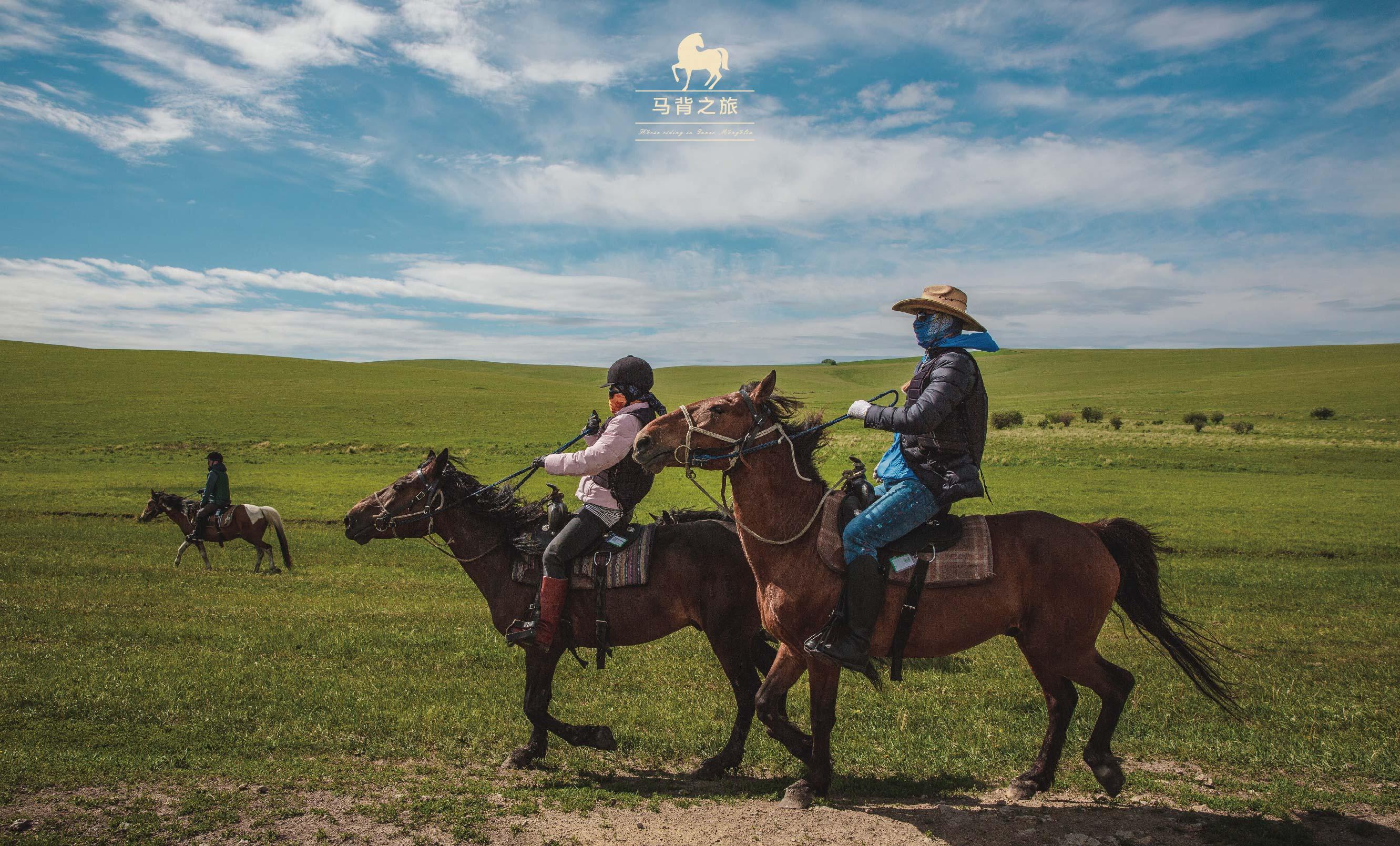 草原上马群-蓝牛仔影像-中国原创广告影像素材