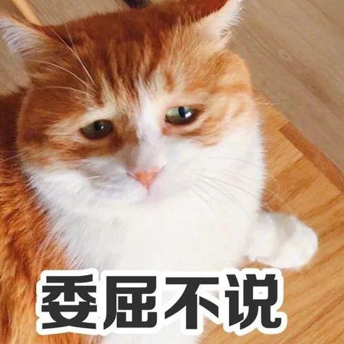 v2-83d77a3e1d2c5eb5ccc8ebbb53129667_r.jpg