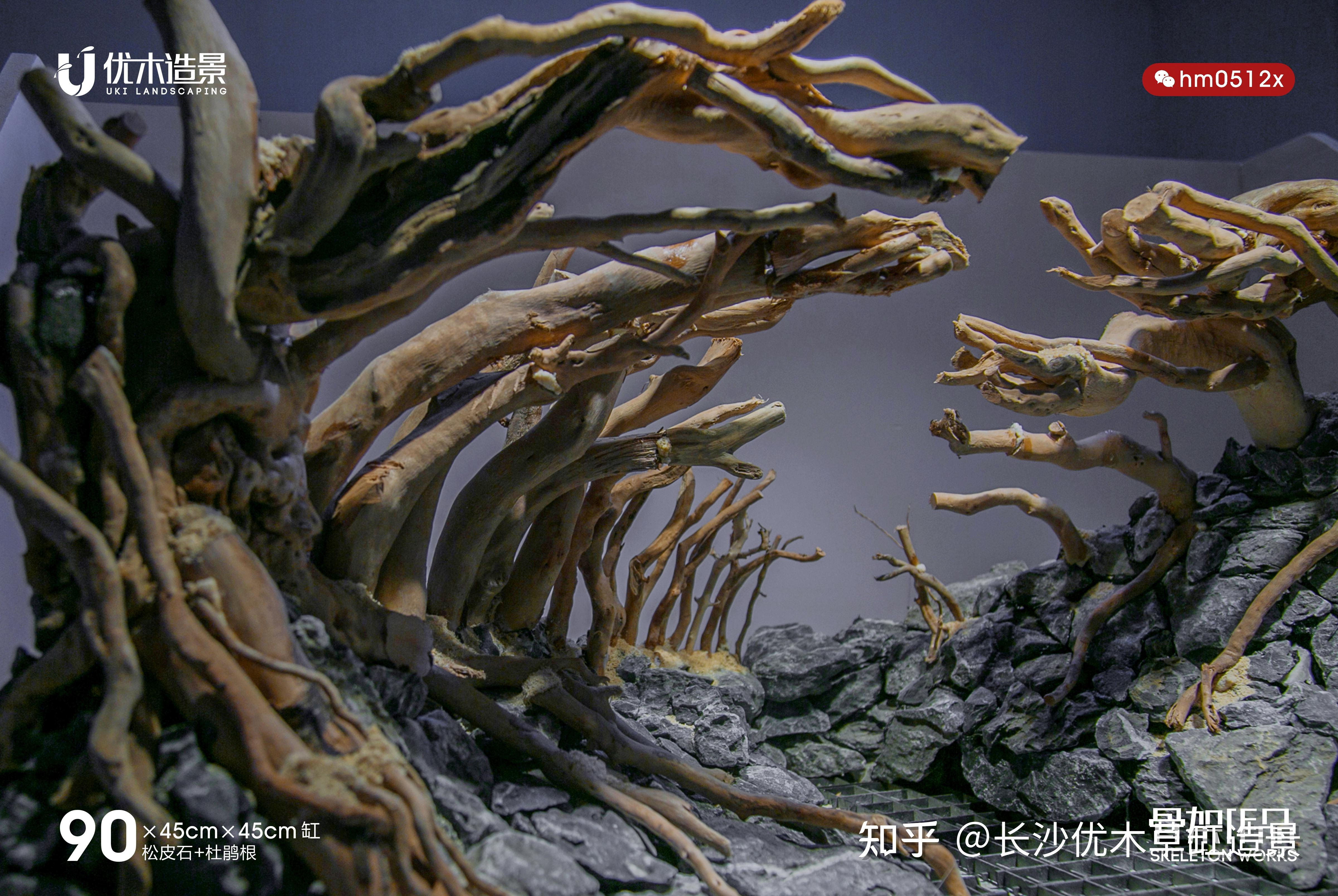 印尼赛级树林杜鹃根九零缸的造景骨架