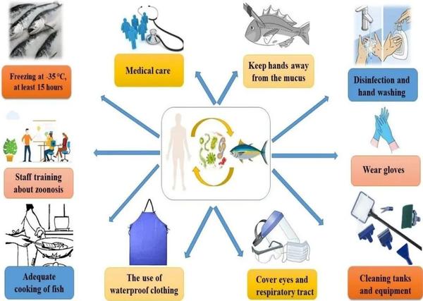 jcr-q1-veterinary-quarterly