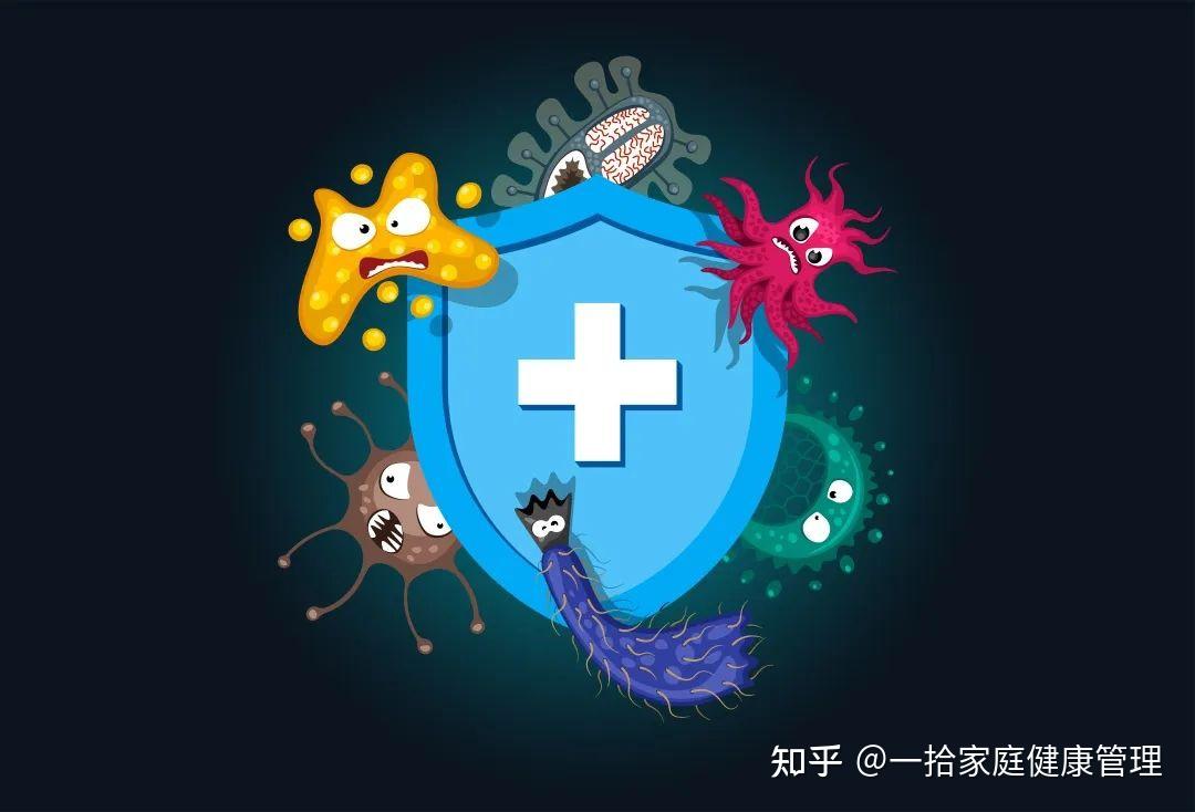 《免疫健康之抗氧化》 - 知乎