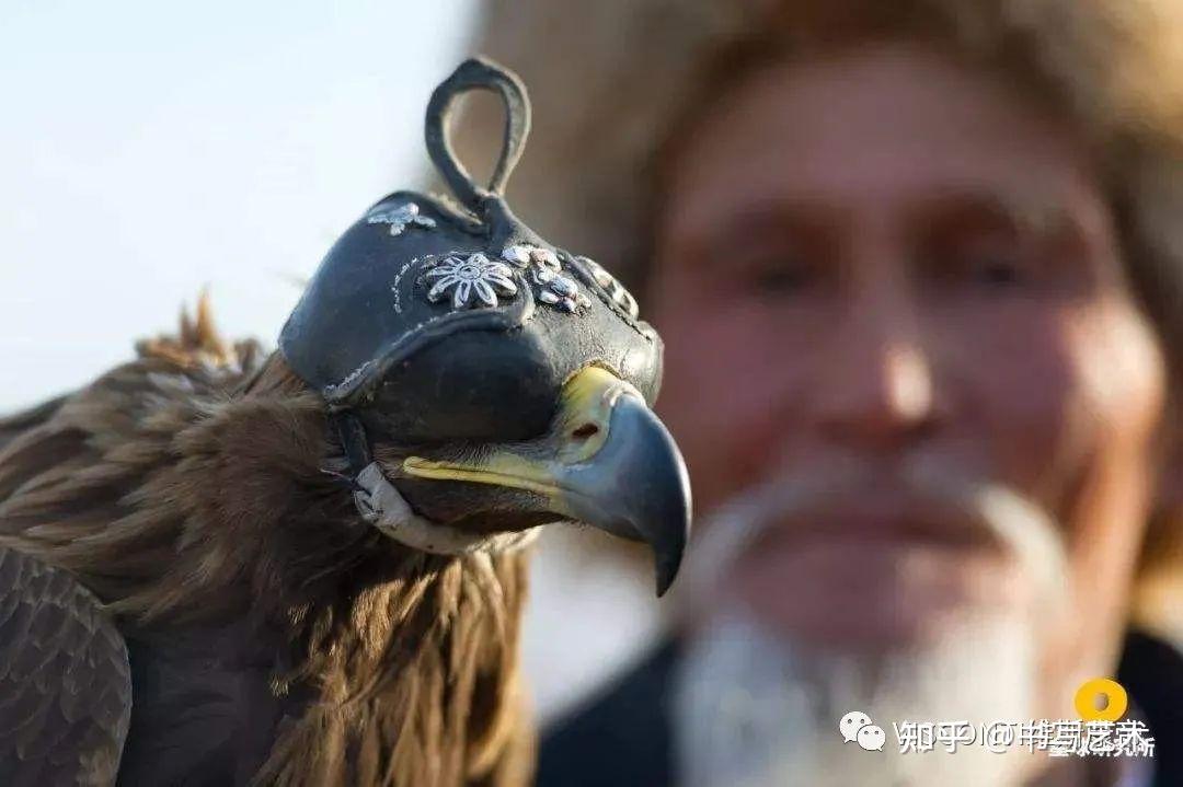 万类霜天竞自由visconti维斯康帝致敬古老驯鹰人