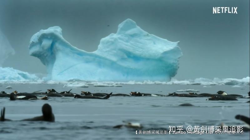 第2149回英國南極穿越探險堅忍號沉入冰海底