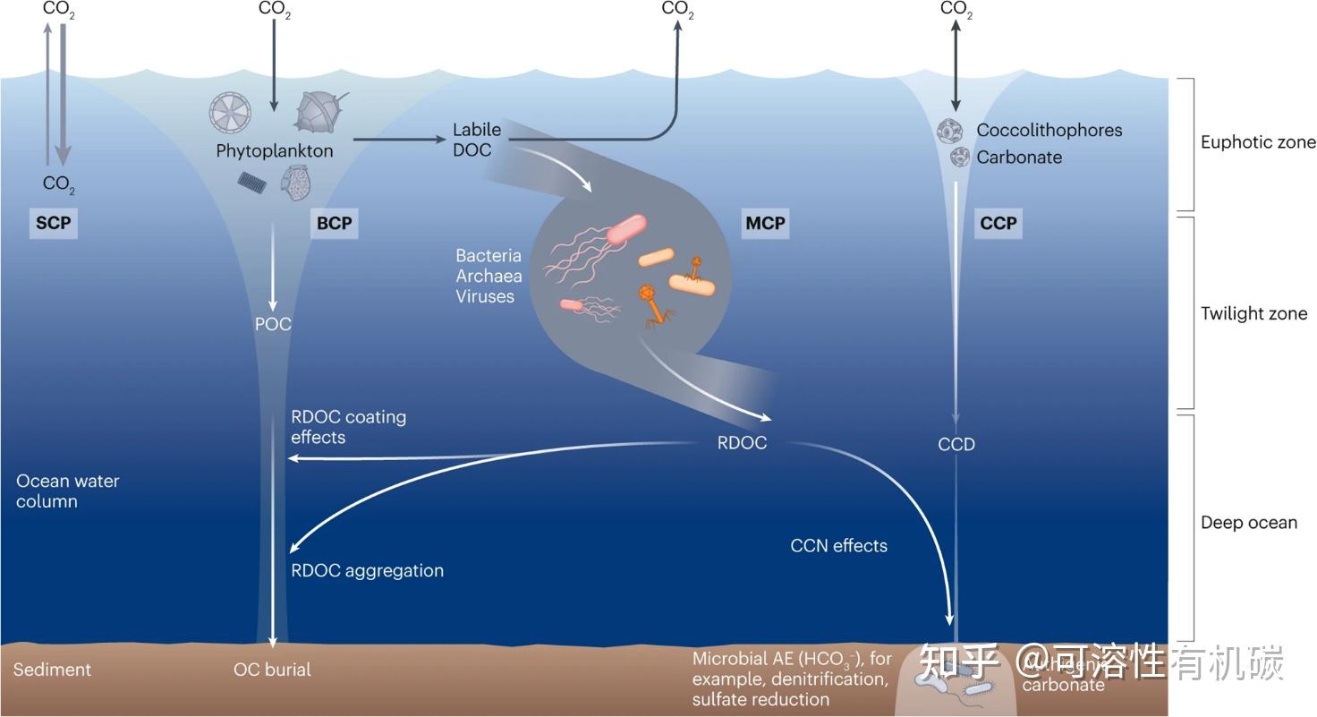 Srb Mcp Rdoc 稳定DOM#微生物碳泵与气候变化 - 知乎