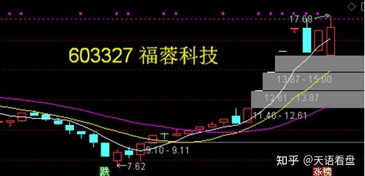 002632 道明光学——反光材料,反光服装及反光制品的研发,设计,生产与