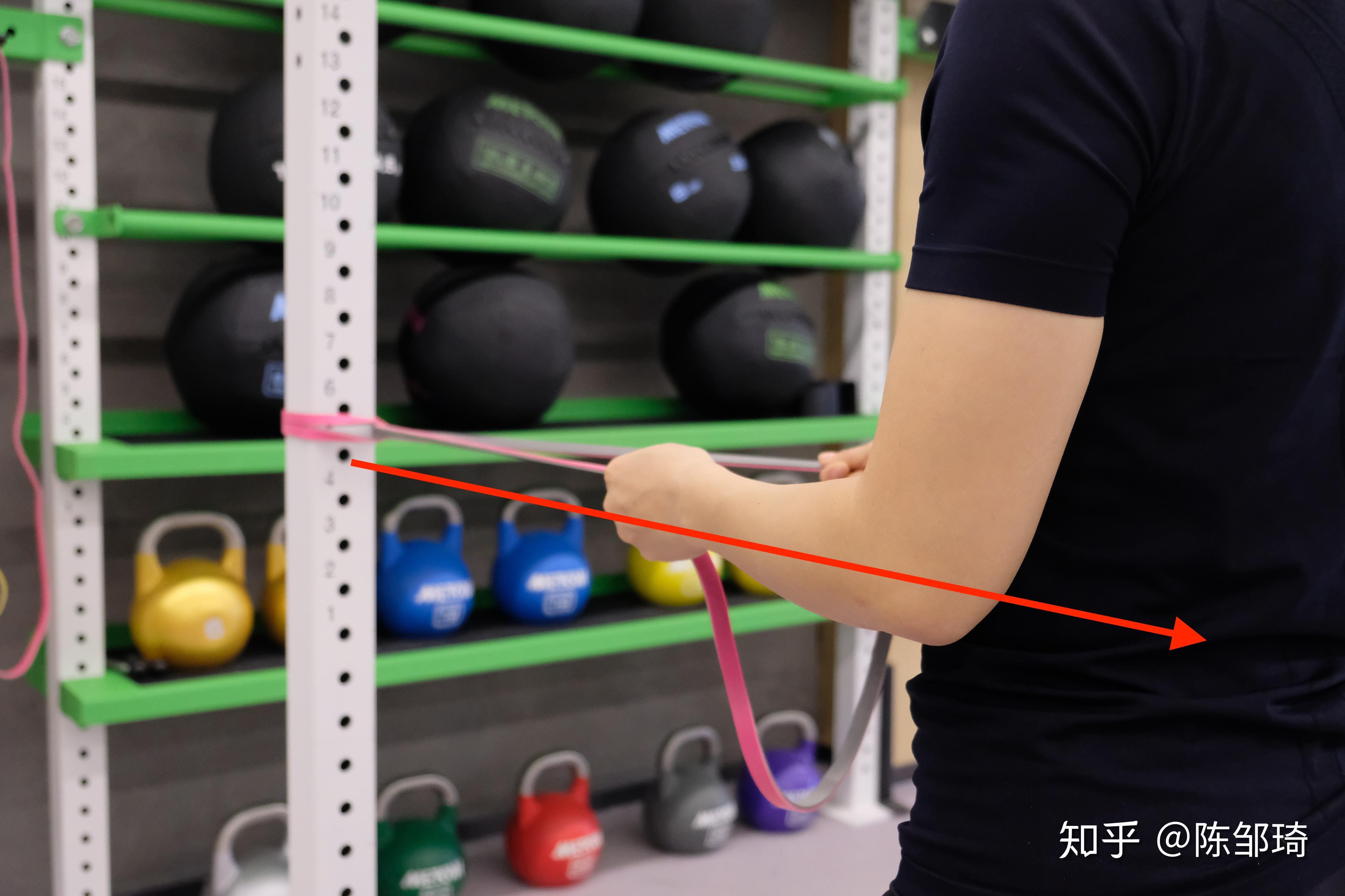 弹力带划船的自学套路