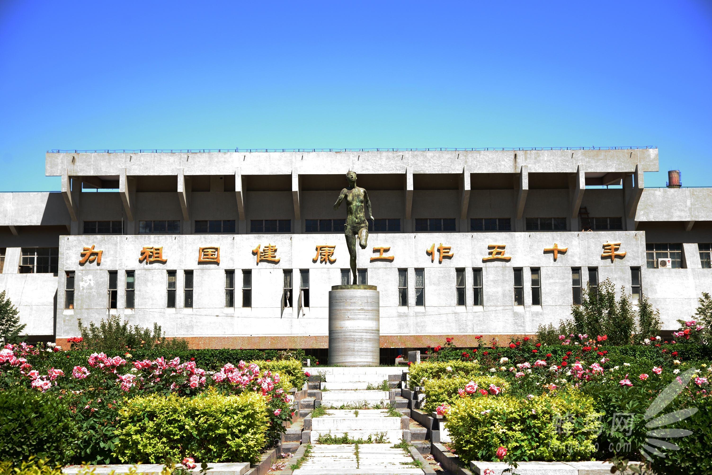 聊聊律师的成功与成功的律师五律师之体