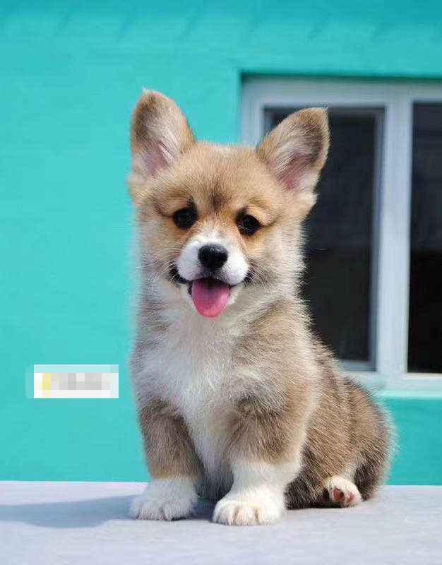 贫贱夫妻百事哀 有道理吗 匿名用户的回答 知乎