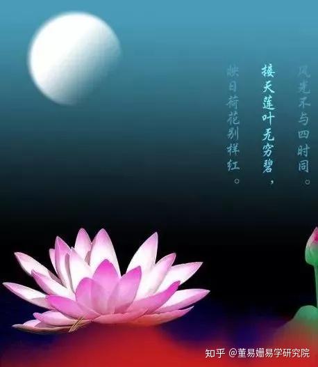 禅意淡然于心自在于世间