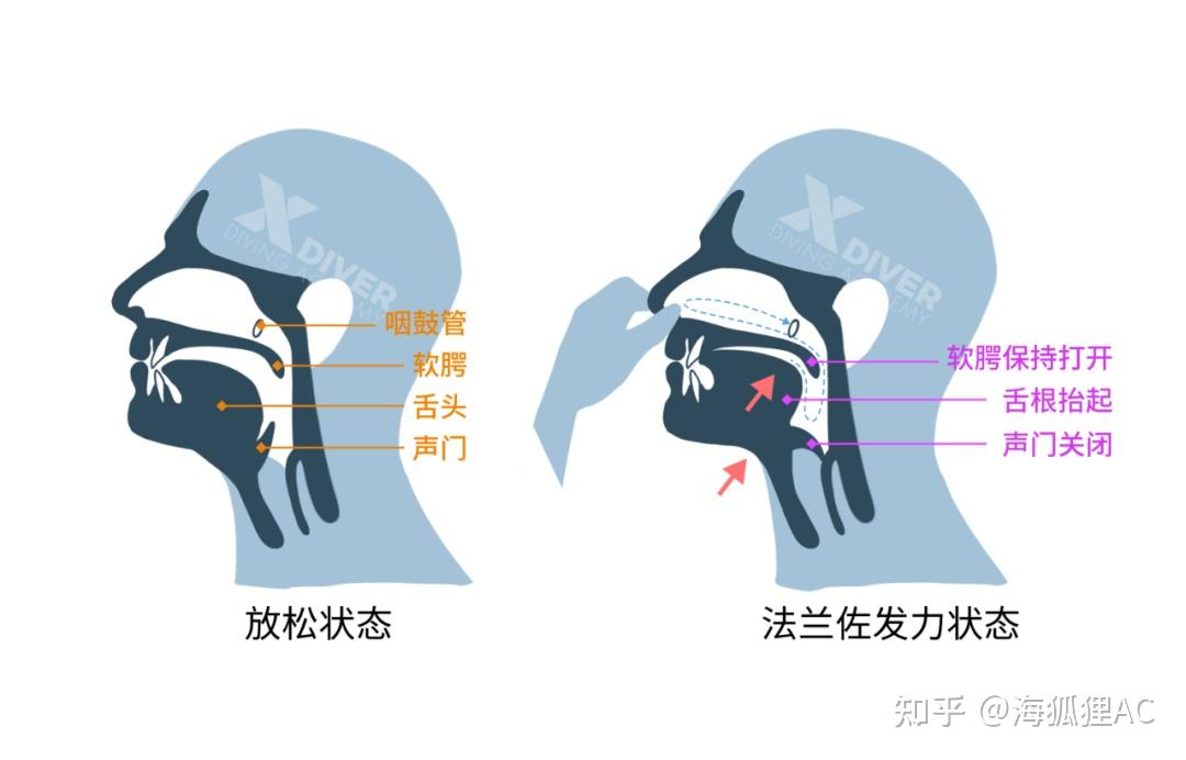 法兰佐耳压平衡练习方法