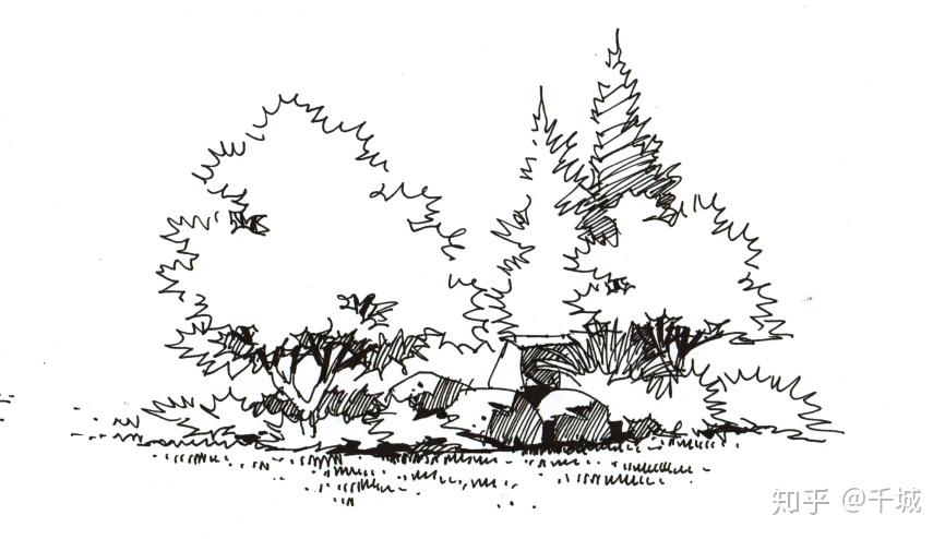 景观灌木线稿法和小景组团