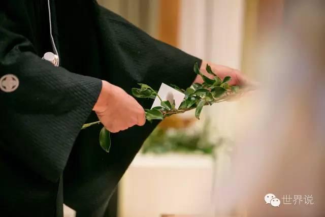 福原爱结婚了,把我的日本婚礼整出来给你们看 - 知乎
