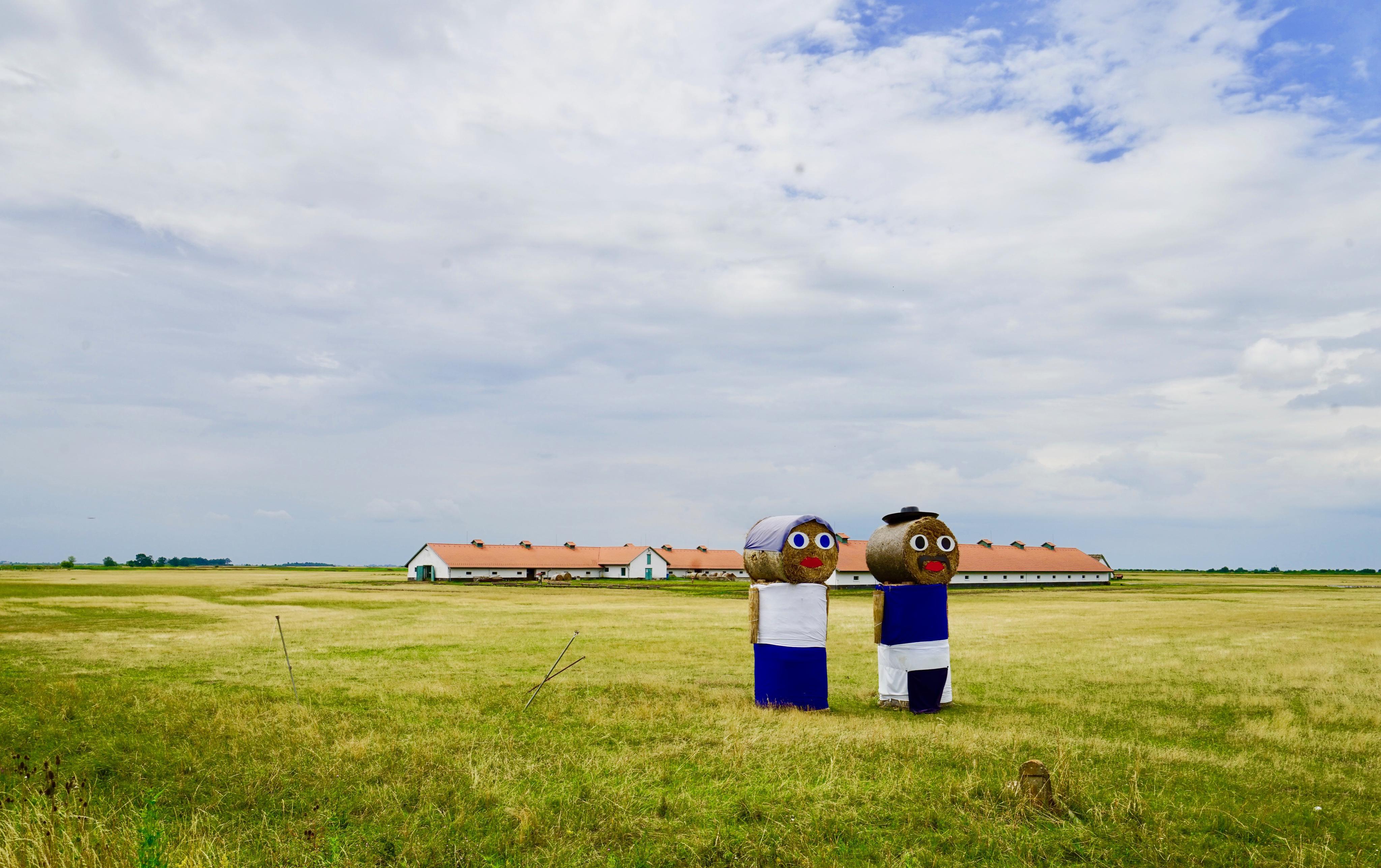 霍尔托巴吉国家公园(hortobágy national park)位于匈牙利大平原上