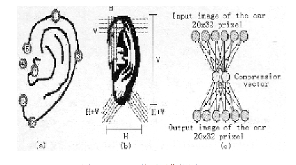 关于耳机定制化 听力测量 Audiometry 和人体工学 Ergonomics 二 人体工学 知乎