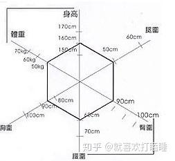 怎样用身高体重计算腰围腿围和臀围 臀围计算 男霸网