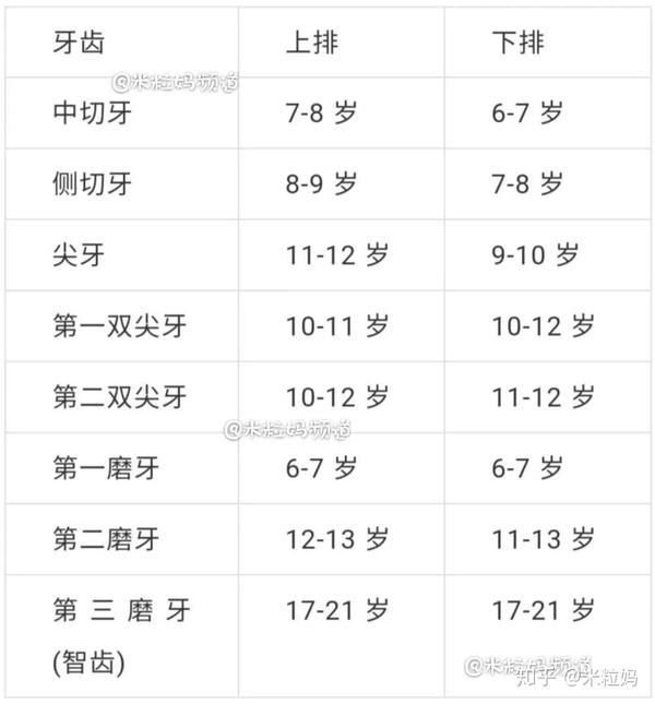 0至6岁儿童牙齿数标准图片