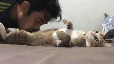 400_225gif 动态图 动图