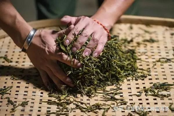 【茶工艺】普洱茶的好滋味都是“揉捻”出来的！ - 知乎