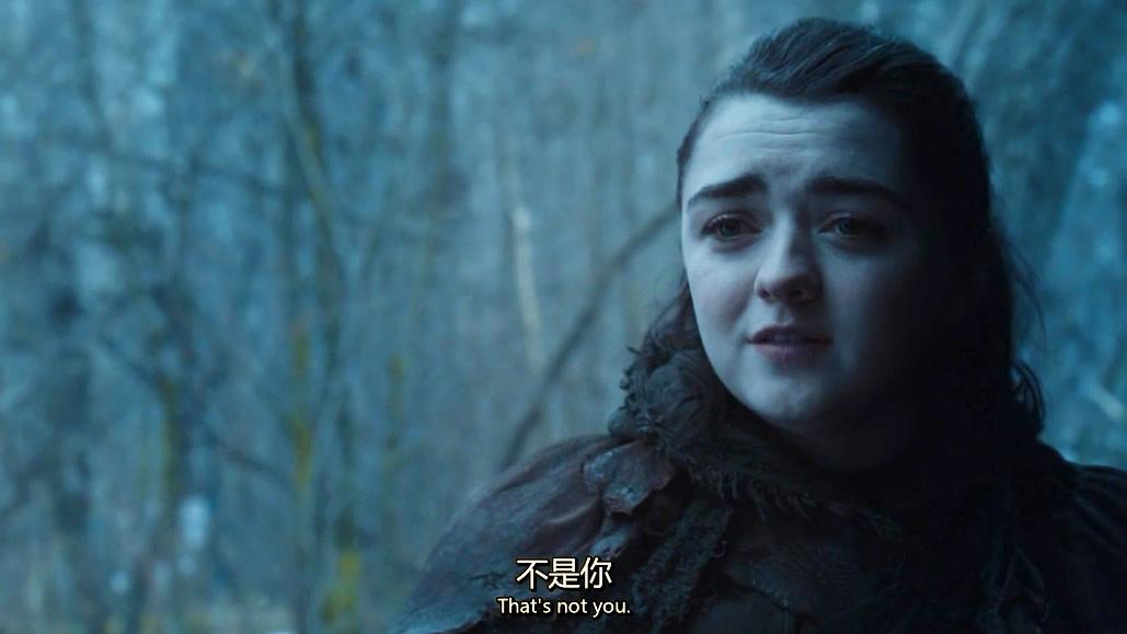 权力的游戏同人pov娜梅莉亚河间地的女王