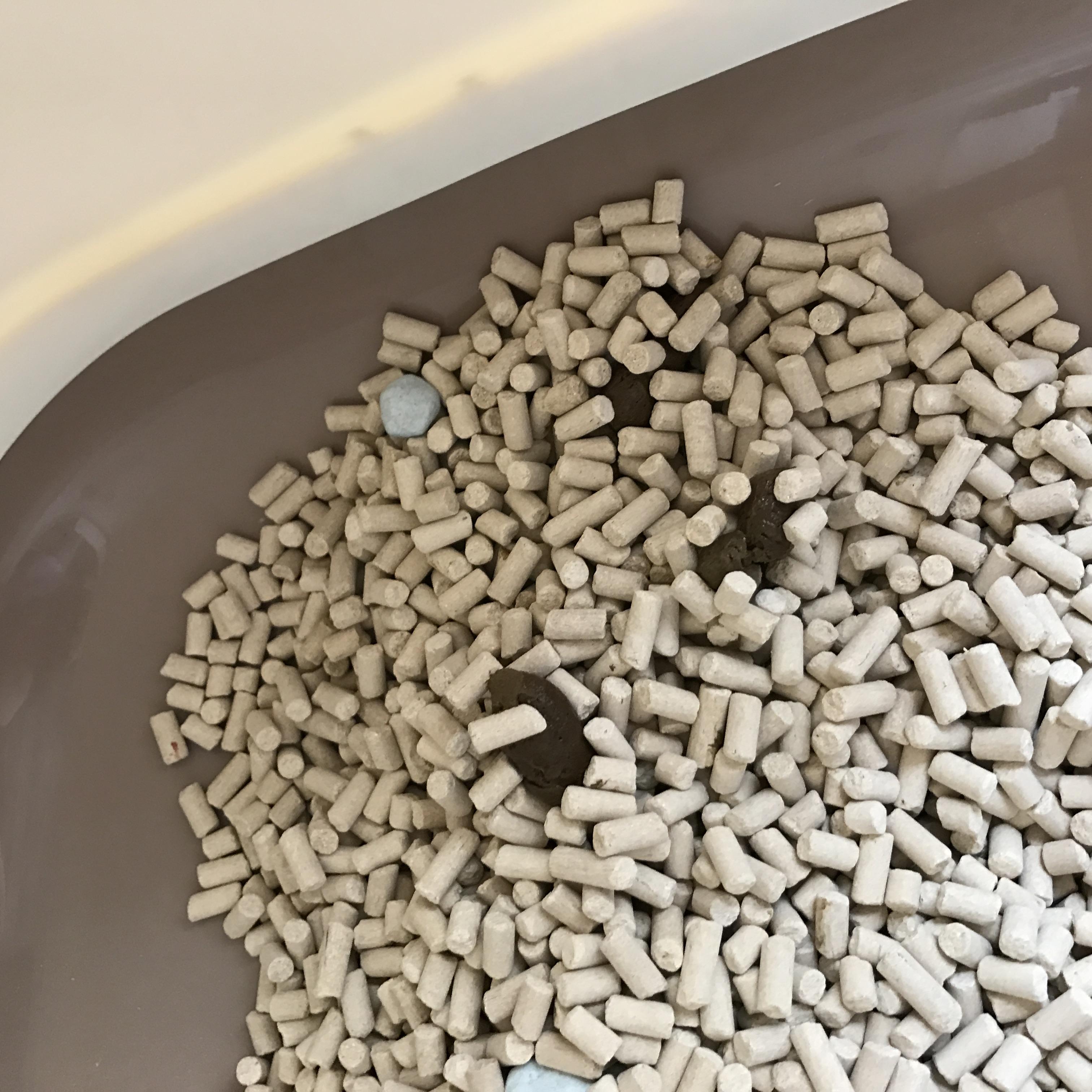 有没有什么好的猫砂可以推荐一下么? - Trevor