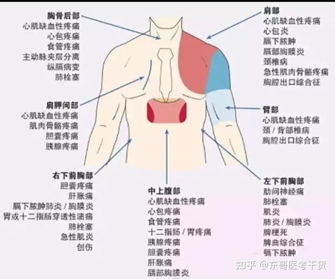 根据腹痛部位:右上腹,中上腹,左上腹,脐周,右下腹,下腹部,左下腹,弥漫