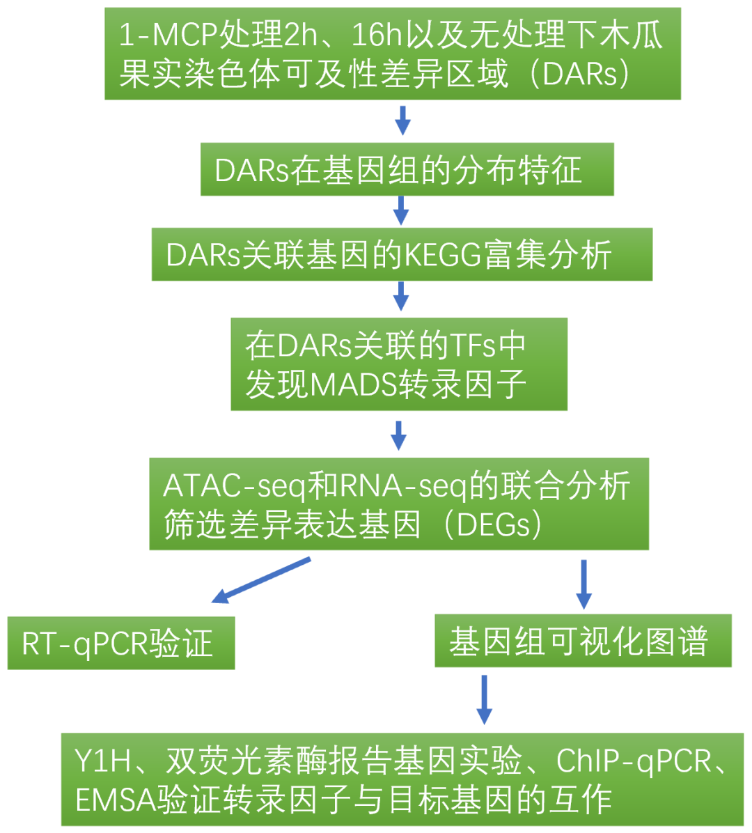 解析表观遗传学的工具——ATAC-seq（二） - 知乎