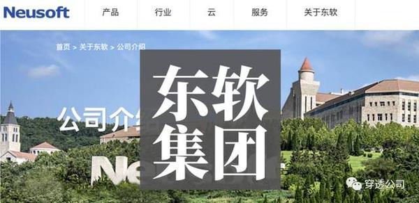 东软合作企业